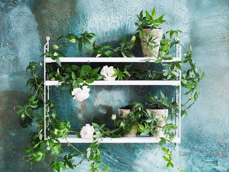 String Pocket by String · Really Well Made